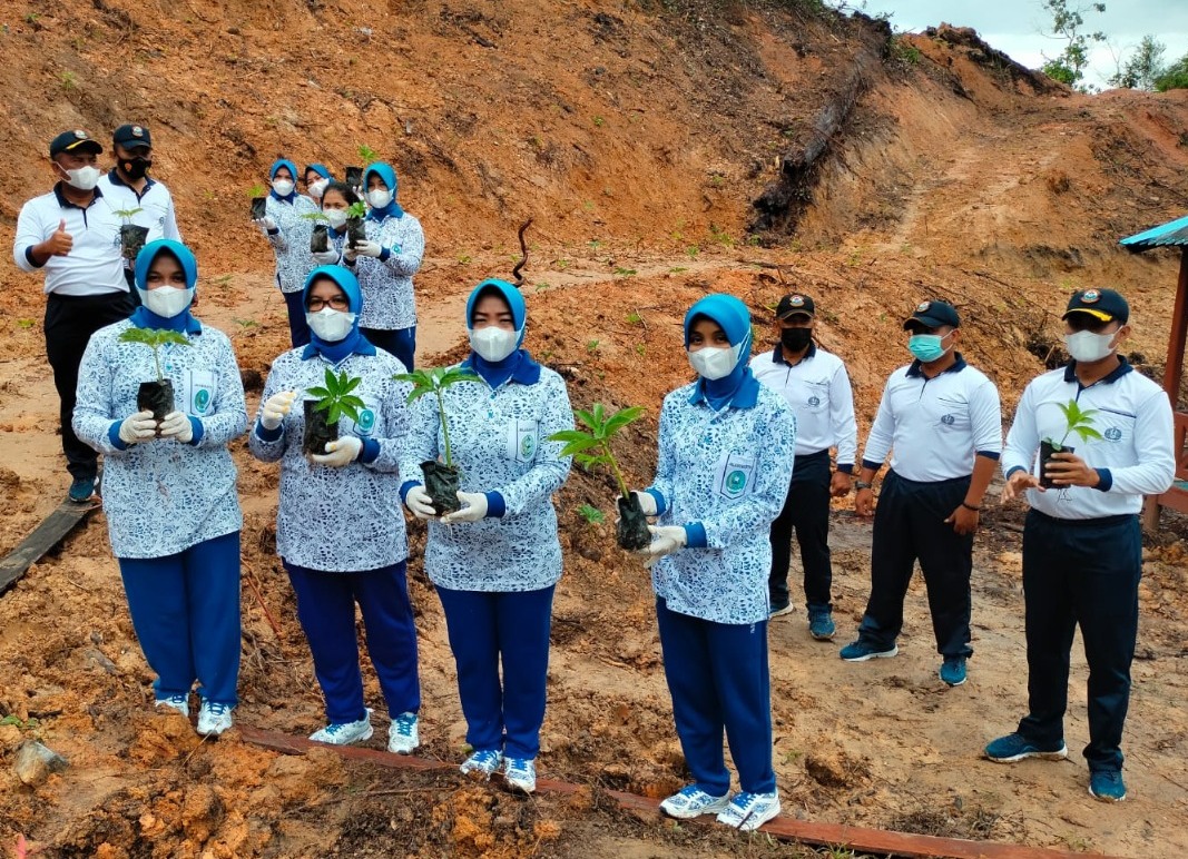 Salah Satu Upaya Jaga Ketahanan Pangan, Lanal Sangatta Galakan Budidaya Porang, Langkah Jitu Bangkit dari Masa Pandemi 2 WhatsApp Image 2021 11 16 at 17.02.47