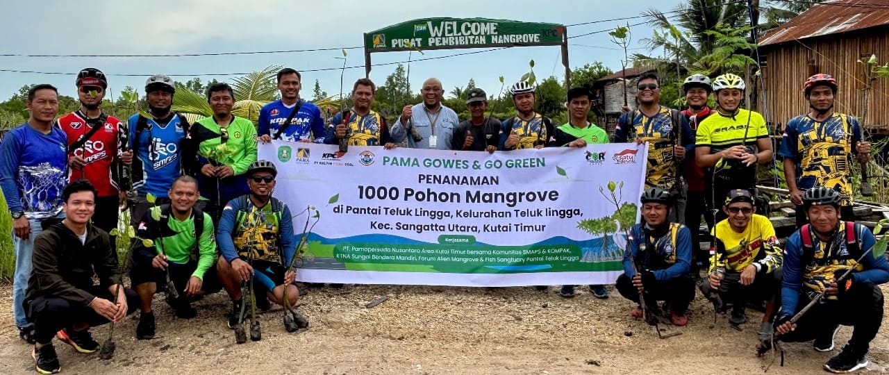 Mangrove