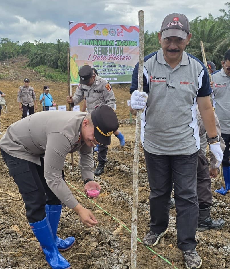 Tanam Padi Gogo dan Jagung, Sinar Mas Agribusiness and Food Siapkan Lahan Produktif di Area Perkebunan, Wujud Dukungan Pada Program Swasembada Pangan 3 Sinar maas 1