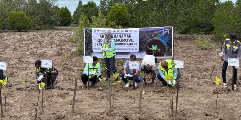 Libatkan Banyak Pihak, PAMA dan KPP Kolaborasi Tanam 2 Ribu Mangrove di Pantai Teluk Lingga 2 PAMA MANGROVEEE 2