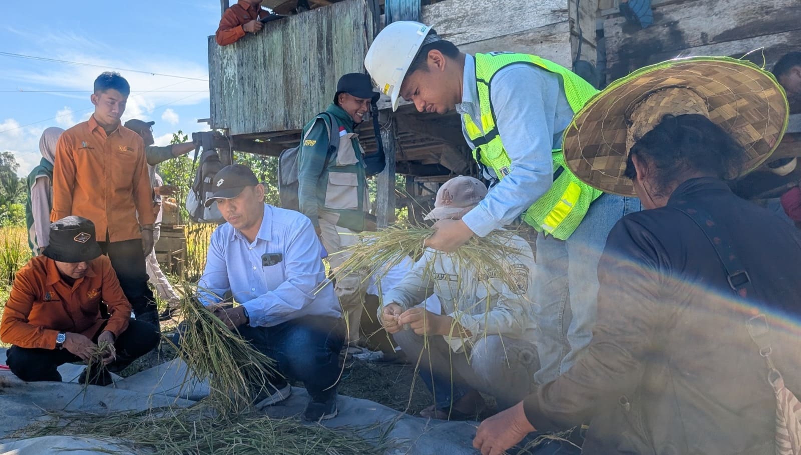 Berbasis Data Aktual: Sinergi PAMA, PPL, dan BPS Evaluasi Kapasitas Produksi Sawah Desa Sepaso Barat 2 Ubian Padi PAMA 2 1