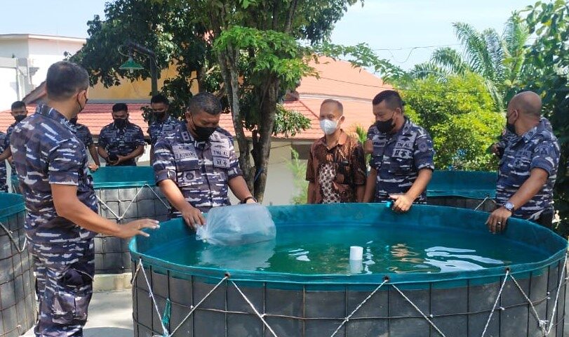 Danlanal Tebar Ribuan Bibit Ikan Lele, Upaya Mendukung Ketahanan Pangan Nasional