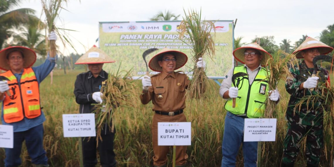 Panen Padi Organik di Teluk Pandan 1 Enclave Eks TNK Dipastikan Masuk Areal Usaha Masyarakat