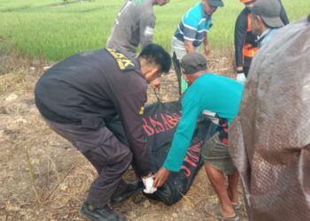 Diterkam buaya.