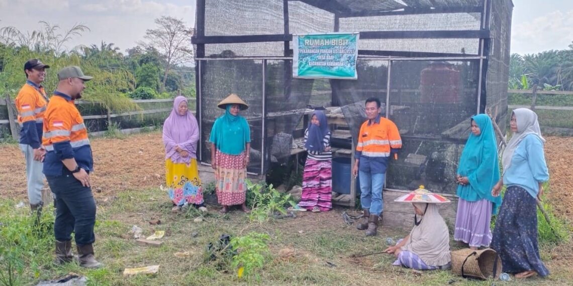 Kacang tanah