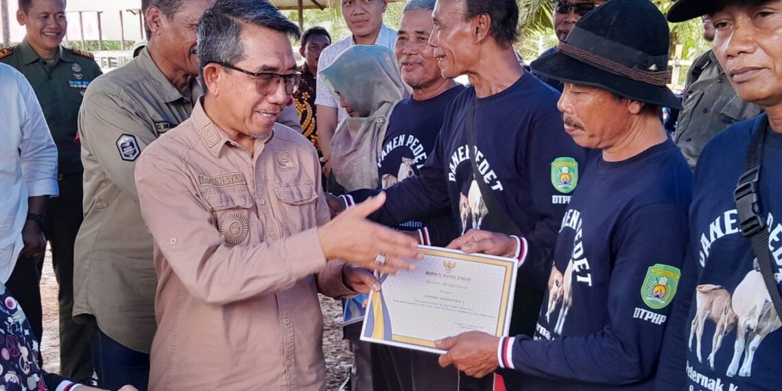 Konsumsi Daging Sapi Tinggi, Kutim Perkuat Sistem Pemeliharaan dan Manajemen Peternakan