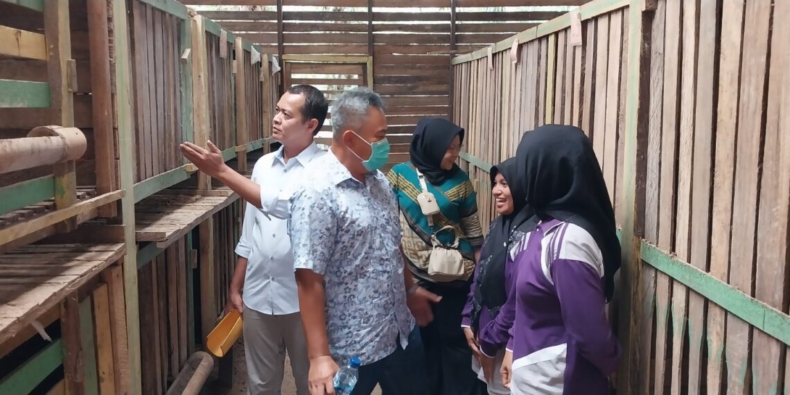 Picu Semangat Maksimalkan Program, KSM Dampingan PT Indexim Coalindo Dikunjungi Tim Penilai Kemendes-PDTT dan Kementan 1 Indexim Coalindo