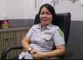 Arus Mudik