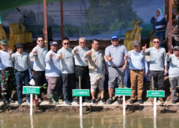 Dukung Rehabilitasi DAS Mahakam, PT Indexim Coalindo Tanam 3 Juta Bibit Bakau di Kukar