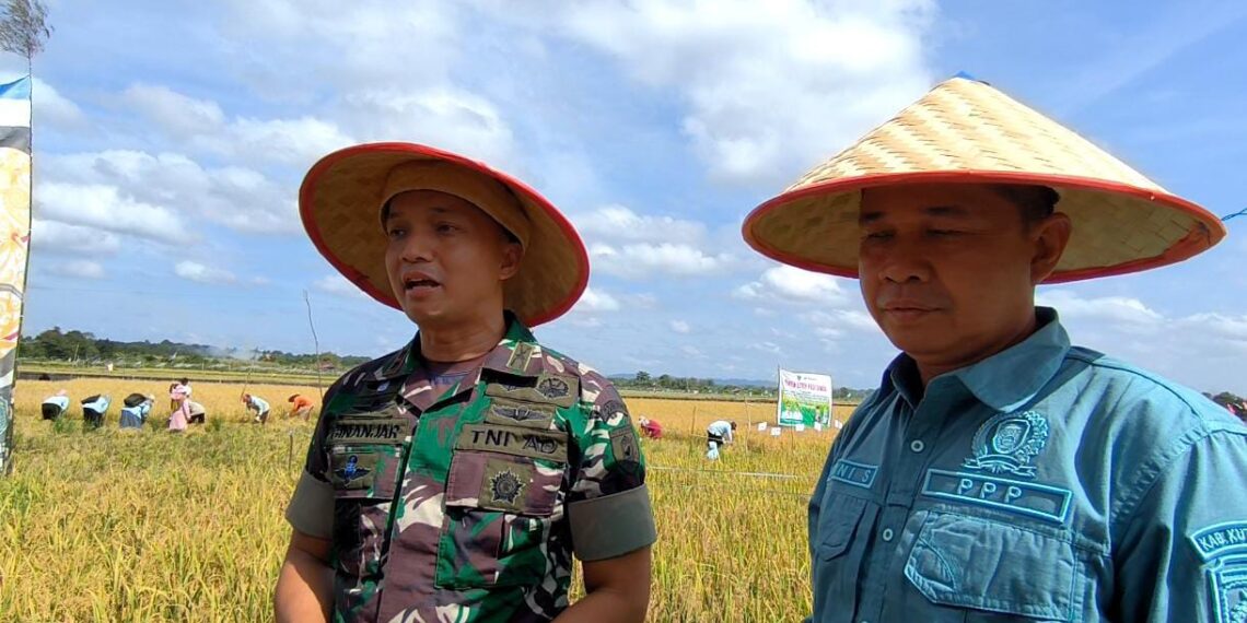 Apresiasi Panen Benih Padi Sawah Sangatta Selatan, Dandim 0909/KTM dan Ketua DPRD Kutim Siap Dukung Penuh 1 Apresiasi Panen Benih Padi Sawah Sangatta Selatan, Dandim 0909/KTM dan Ketua DPRD Kutim Siap Dukung Penuh