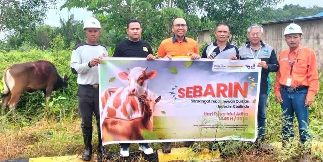 Berdayakan Peternak Lokal, PT Indexim Coalindo Bagikan Hewan Kurban untuk 23 Desa 1 Hewan Kurban