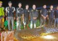 Buaya