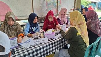 Desa Siaga
