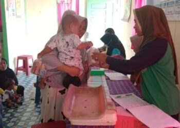 Miliki Beberapa Prestasi, Masnawati Menjadi Kader Posyandu Cekatan dari Desa Selangkau