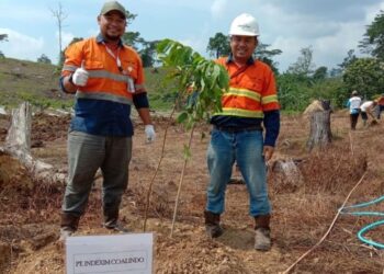 Agrowisata