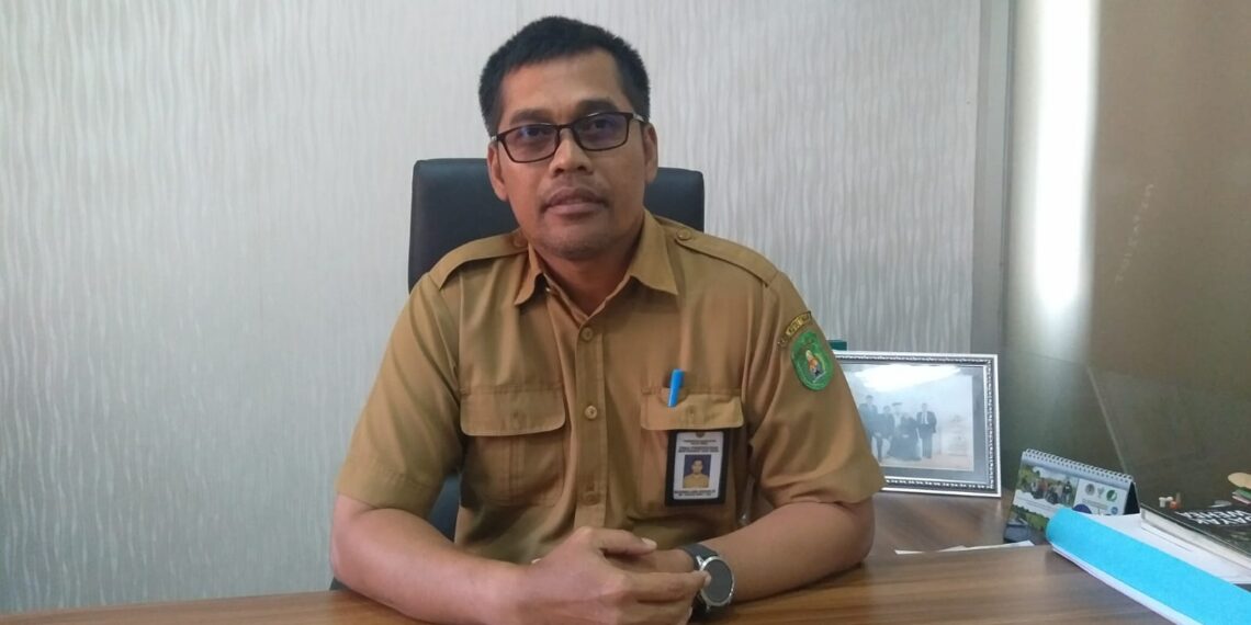 Penataan desa