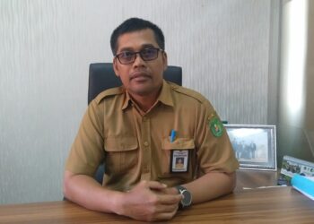 Penataan desa