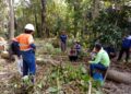 Resah Lihat Lahan Tidur, Sosok Nor Ipansyah Layak Dicontoh Petani Muda 11 Lahan Tidur