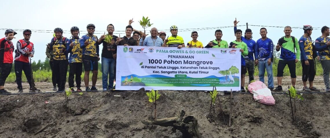 Mangrove