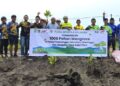 Tanam 1.000 Pohon Mangrove di Pantai Teluk Lingga, PT Pamapersada Nusantara Site KPC Coal Mining Project Konsisten Maksimalkan Program CSR 11 Mangrove