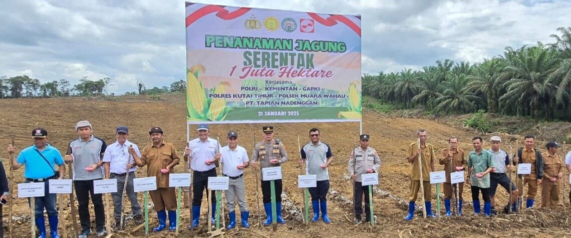 Tanam Padi Gogo dan Jagung, Sinar Mas Agribusiness and Food Siapkan Lahan Produktif di Area Perkebunan, Wujud Dukungan Pada Program Swasembada Pangan 1 Sinar Mas