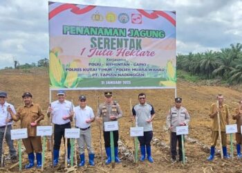 Sinar Mas