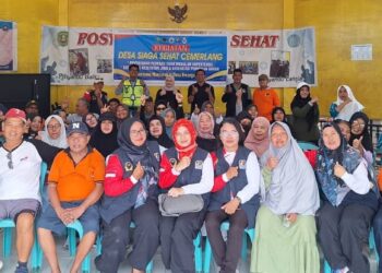 Desa Siaga