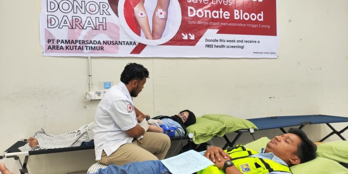 Donor darah