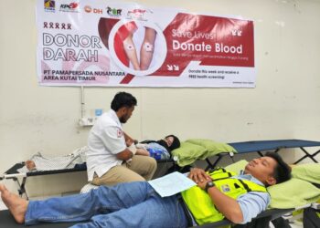 Donor darah