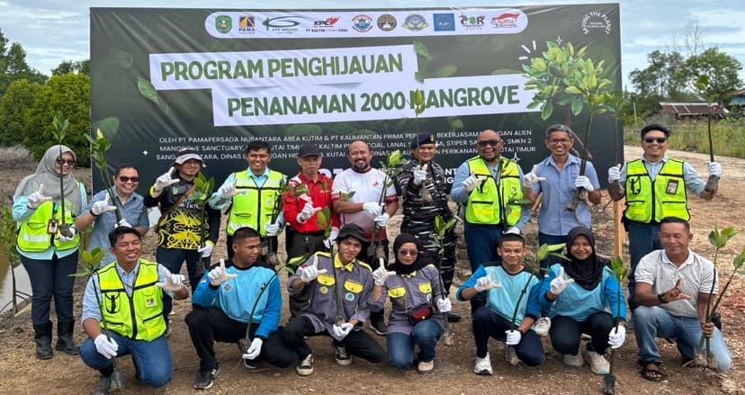 Libatkan Banyak Pihak, PAMA dan KPP Kolaborasi Tanam 2 Ribu Mangrove di Pantai Teluk Lingga 1 Mangrove
