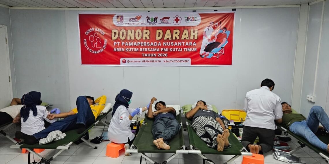 Donor darah