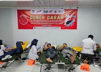 Donor darah