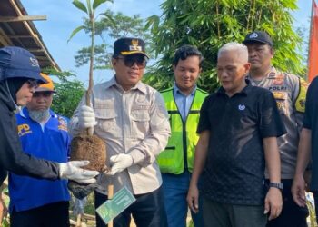 Dukung Penghijauan di Desa Persiapan Teluk Rawa, PAMA Kutim Salurkan Bibit Pohon Buah