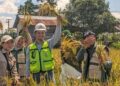 Berbasis Data Aktual: Sinergi PAMA, PPL, dan BPS Evaluasi Kapasitas Produksi Sawah Desa Sepaso Barat