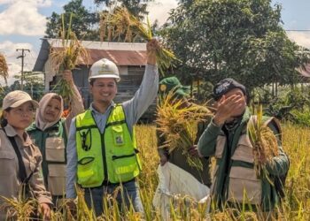 Berbasis Data Aktual: Sinergi PAMA, PPL, dan BPS Evaluasi Kapasitas Produksi Sawah Desa Sepaso Barat