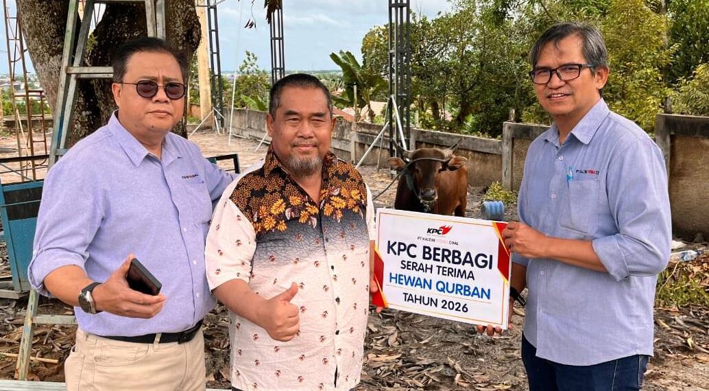 65 Ekor Sapi Kurban untuk Masyarakat, PT KPC Lengkapi Perayaan Idul Adha 1447 Hijriah