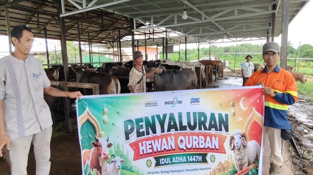 Sambut Idul Adha 1447 Hijriah, PT Indexim Coalindo Salurkan Hewan Kurban di Desa Lingkar Tambang