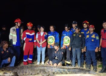 Kejar Layang-layang Putus, Bocah 13 Tahun Diterkam Hewan Buas, Tim Gabungan Evakuasi Buaya Sepanjang 3,90 Meter 10 Kejar Layang-layang Putus, Bocah 13 Tahun Diterkam Hewan Buas, Tim Gabungan Evakuasi Buaya Sepanjang 3,90 Meter
